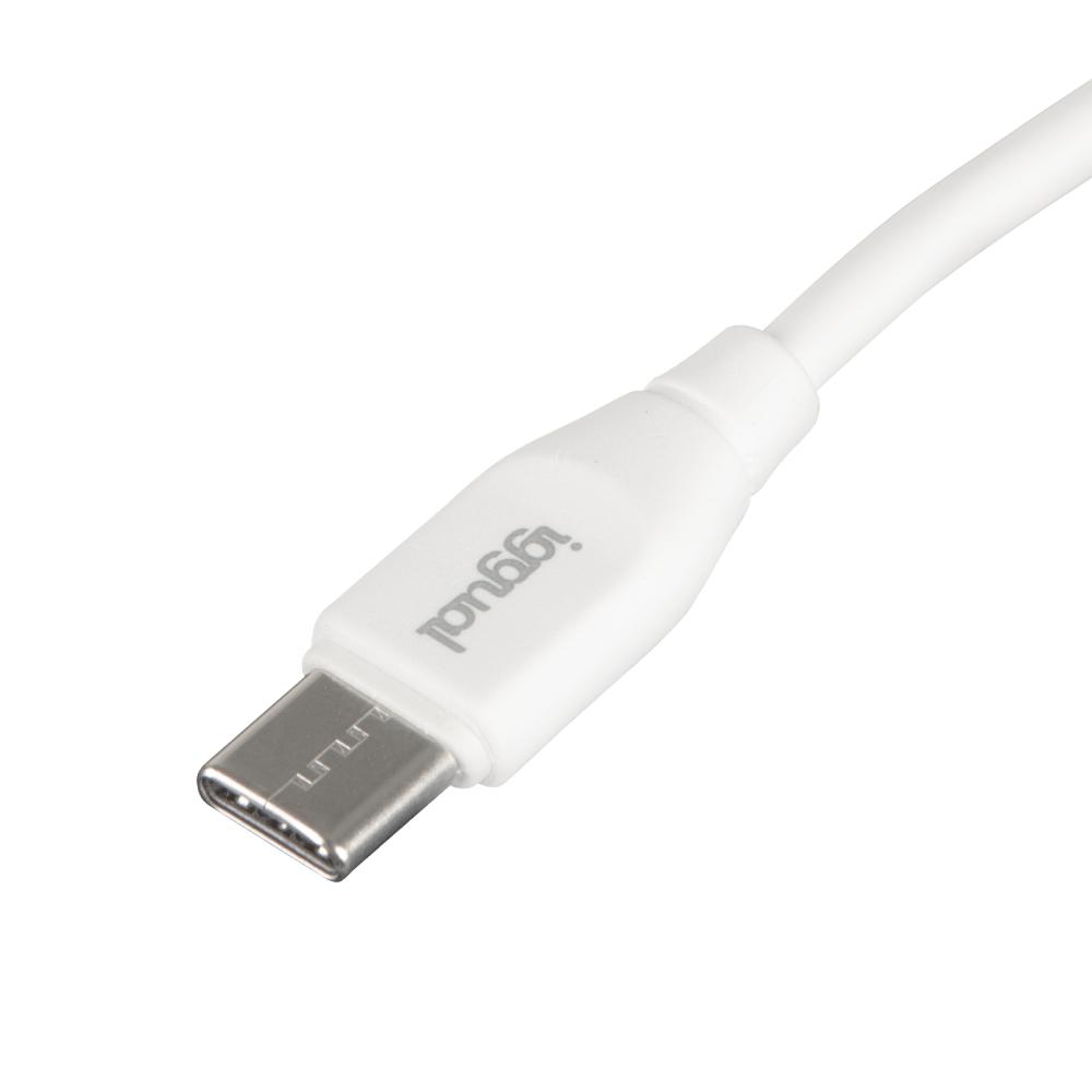 iggual Cable USB-C/USB-C 100 cm blanco Q3.0 3A
