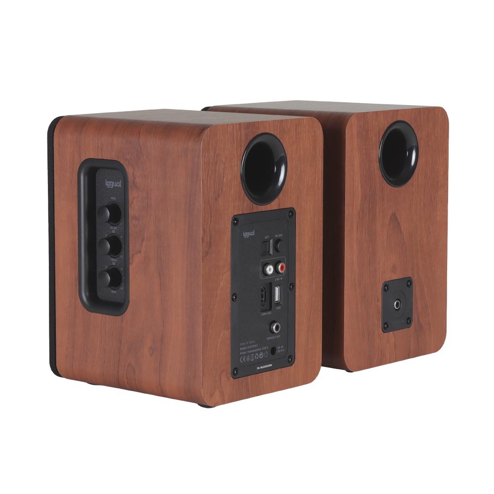 iggual Altavoces 2.0 50W Bluetooth 5.3 Home Studio