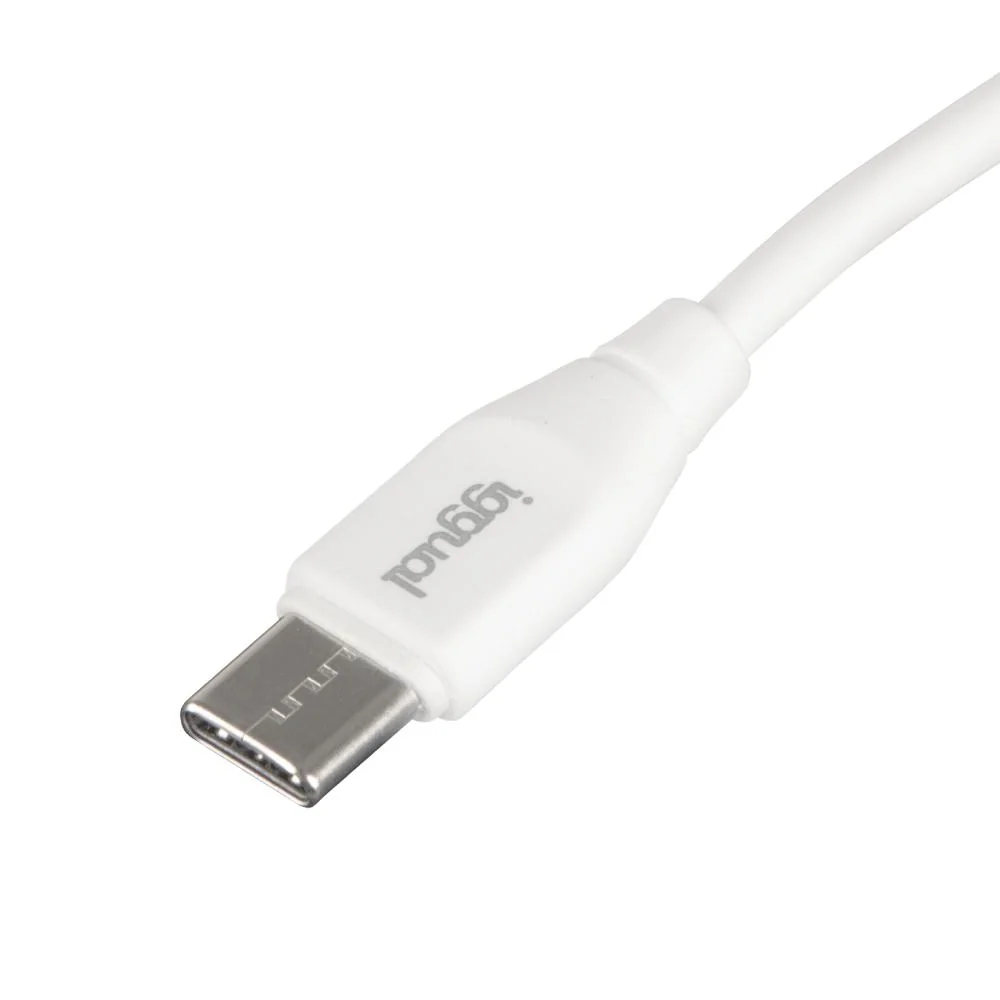 iggual Cable USB-C/USB-C 100 cm blanco Q3.0 3A