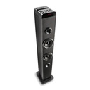 NGS Torre Sonido SKYCHARM PRO 50W  BT Negro