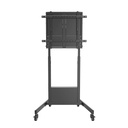 Ewent Carro TV Ajus. Altura  pantalla 60-100"