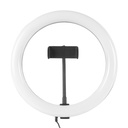 iggual Anillo / aro de luz LED diámetro 10" 26 cm