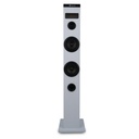 NGS Torre de Sonido SKY CHARM Bluetooth 2.1 50W W
