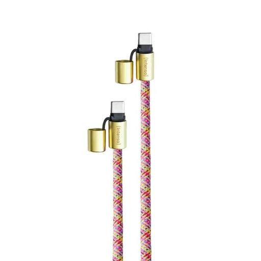 [AATCAT0488] Intenso Lanyard  Cable USB-C  C 1,65 m Neon mix