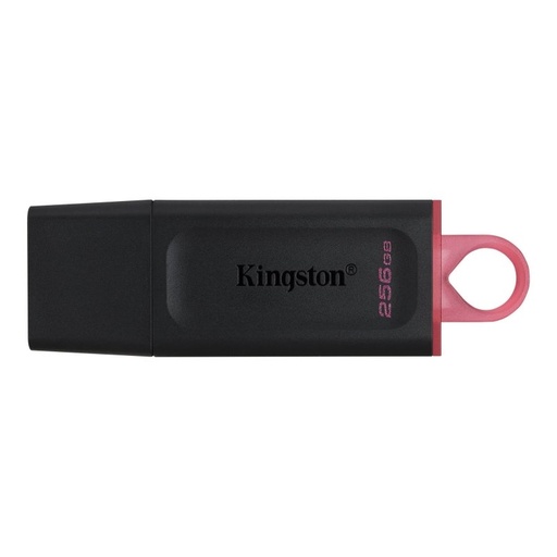 [FAELAP0565] Kingston DataTraveler DTX 256GB USB 3.2 Gen1 Negro